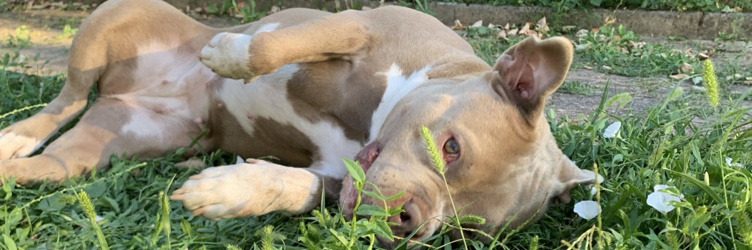 New beginning banner