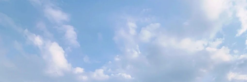 lily5319786's profile banner image