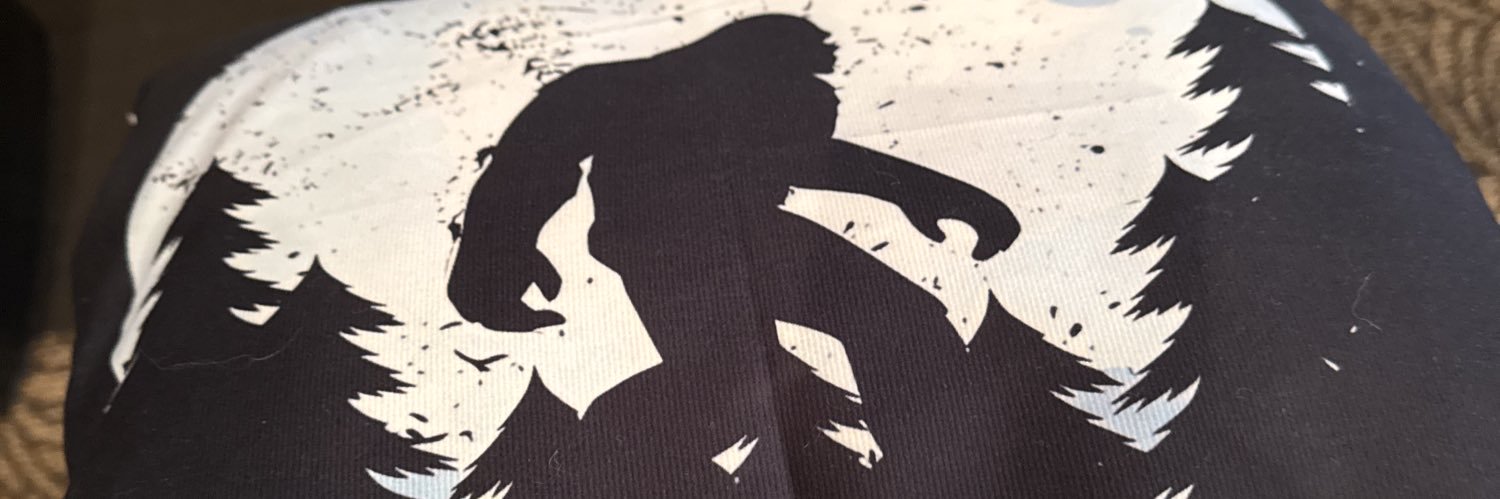 dvmouton's profile banner image