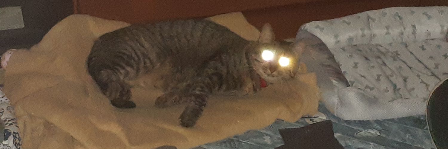 sesirutteli's profile banner image