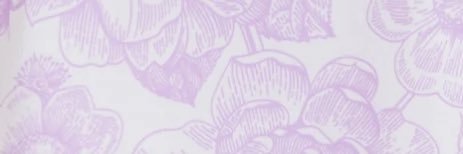 brittleesmith's profile banner image