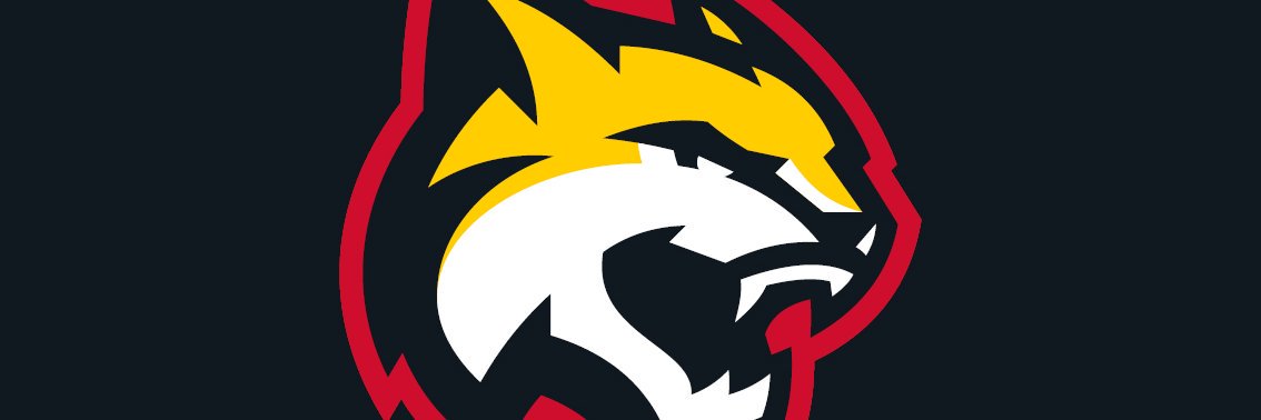 hcgomelcom's profile banner image