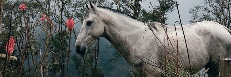 maykiltas's profile banner image