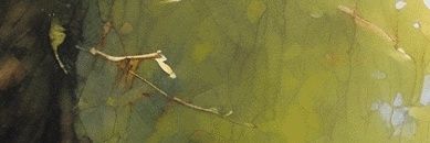 driftergrey's profile banner image
