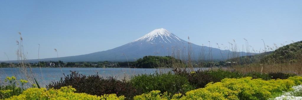 ニャン太郎🐾 banner