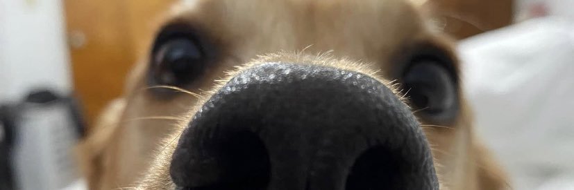 krissyyyy_04's profile banner image