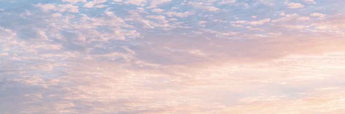 Suu_uuus's profile banner image