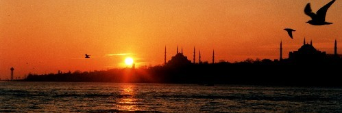 Dr. Zeynep Somer-Topcu's banner