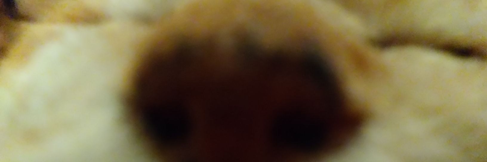 GaReload's profile banner image