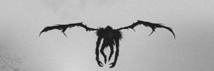 jaden__455's profile banner image