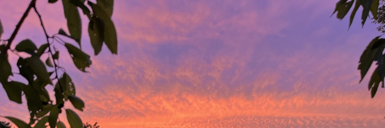 viola_geography's profile banner image