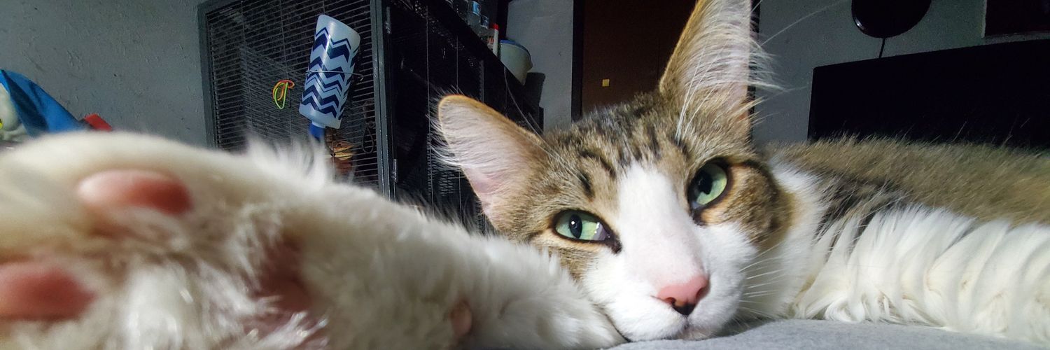 tabithasinks's profile banner image