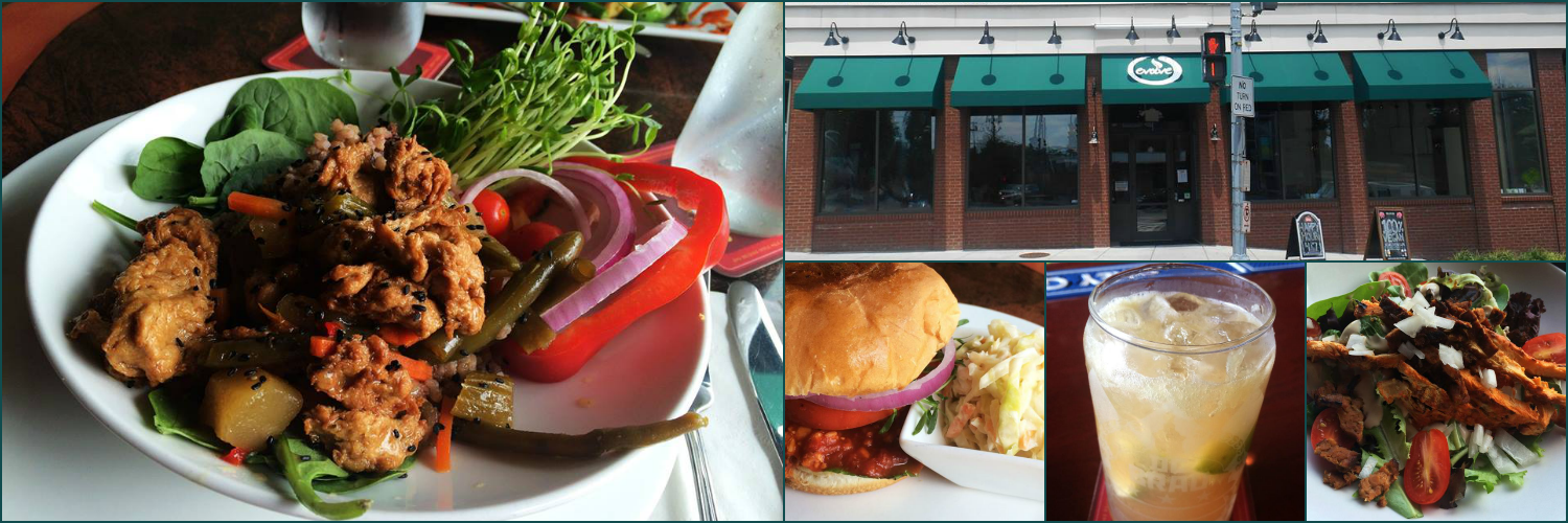EvolveVegan's profile banner image