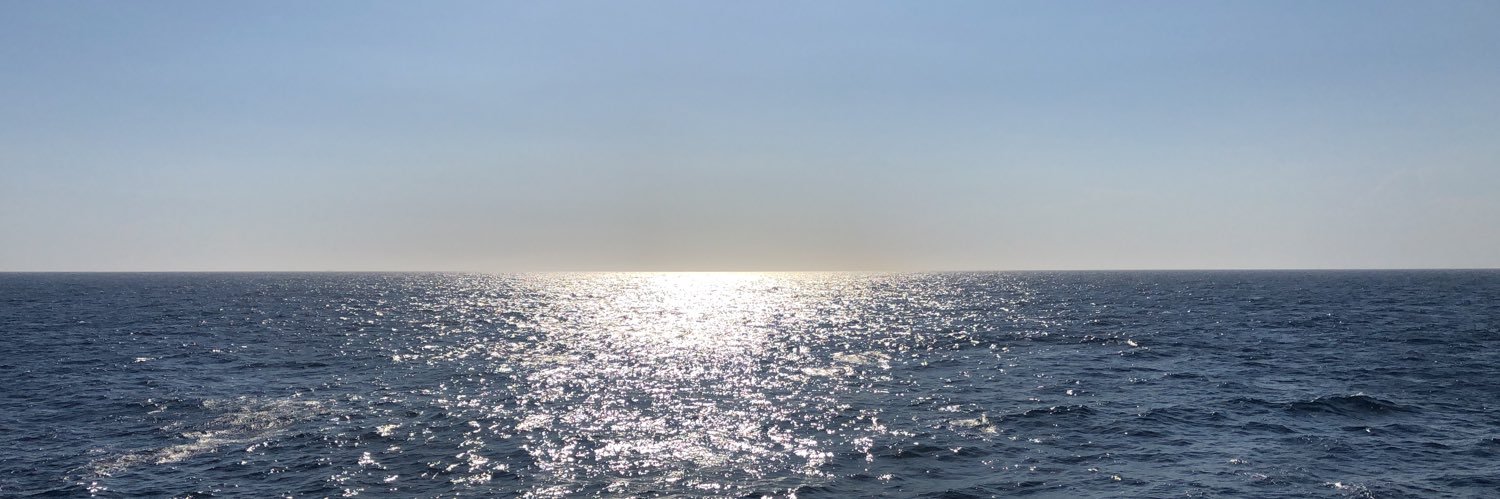 joaomns01's profile banner image