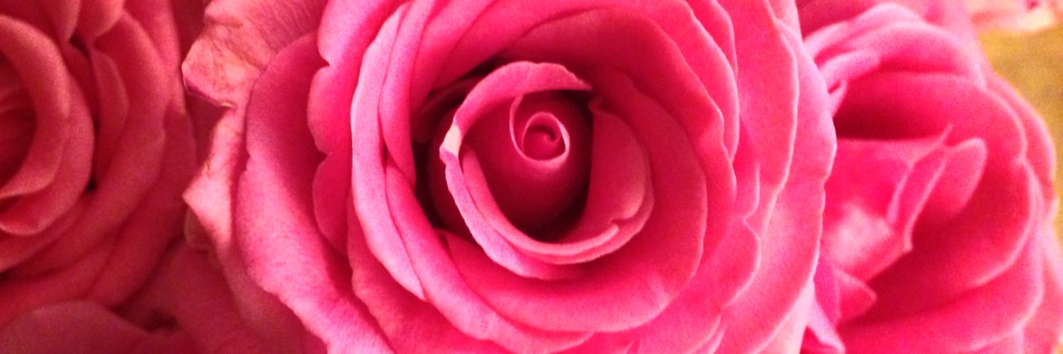 digitalchicknic's profile banner image