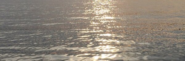 loratshields Profile Banner