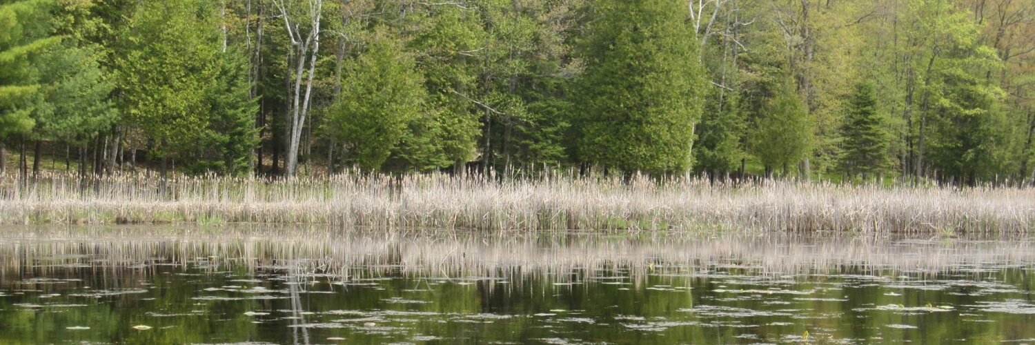 fraserwetlands's profile banner image