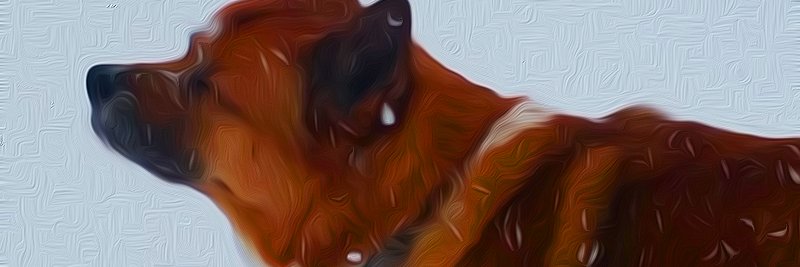 _Xtwo_'s profile banner image