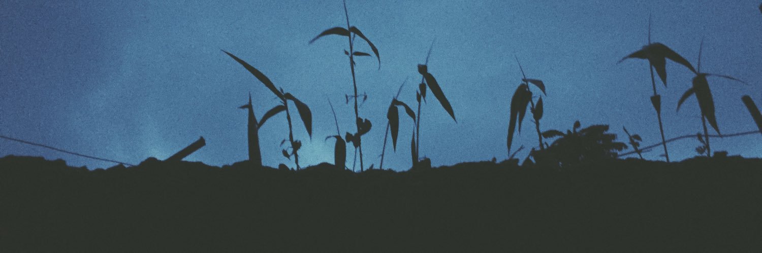 kurvP's profile banner image