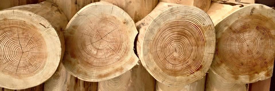 Caledonia Log Homes (@logcraft) / Posts / X