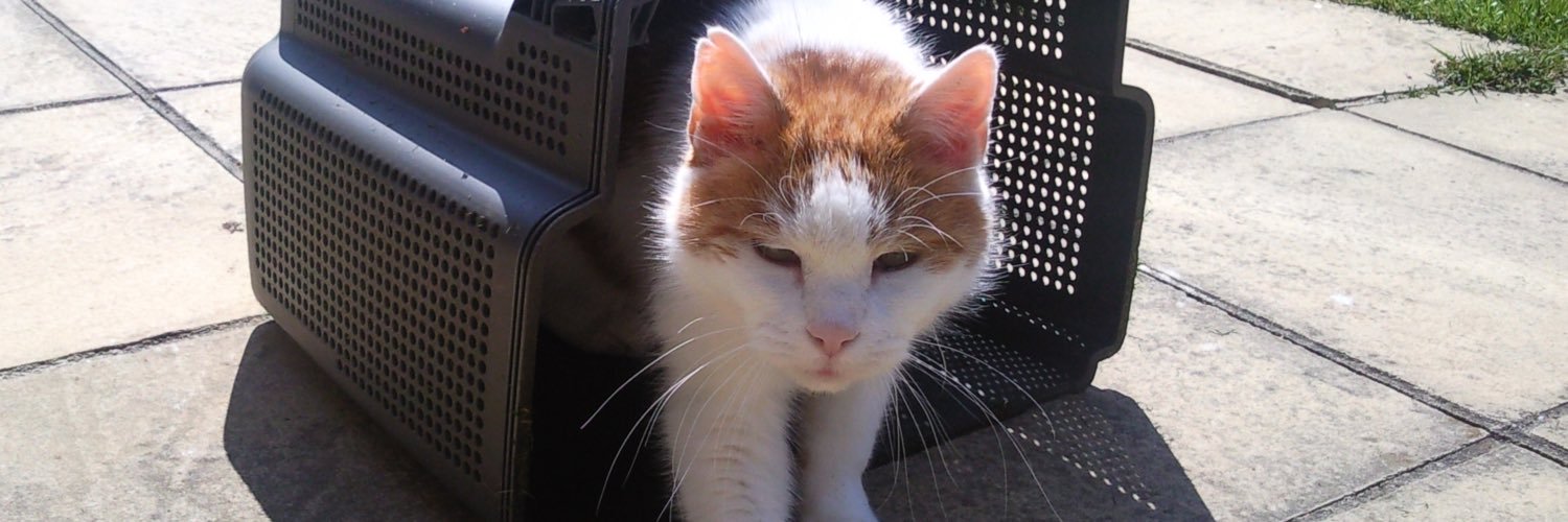 gusthecat's profile banner image