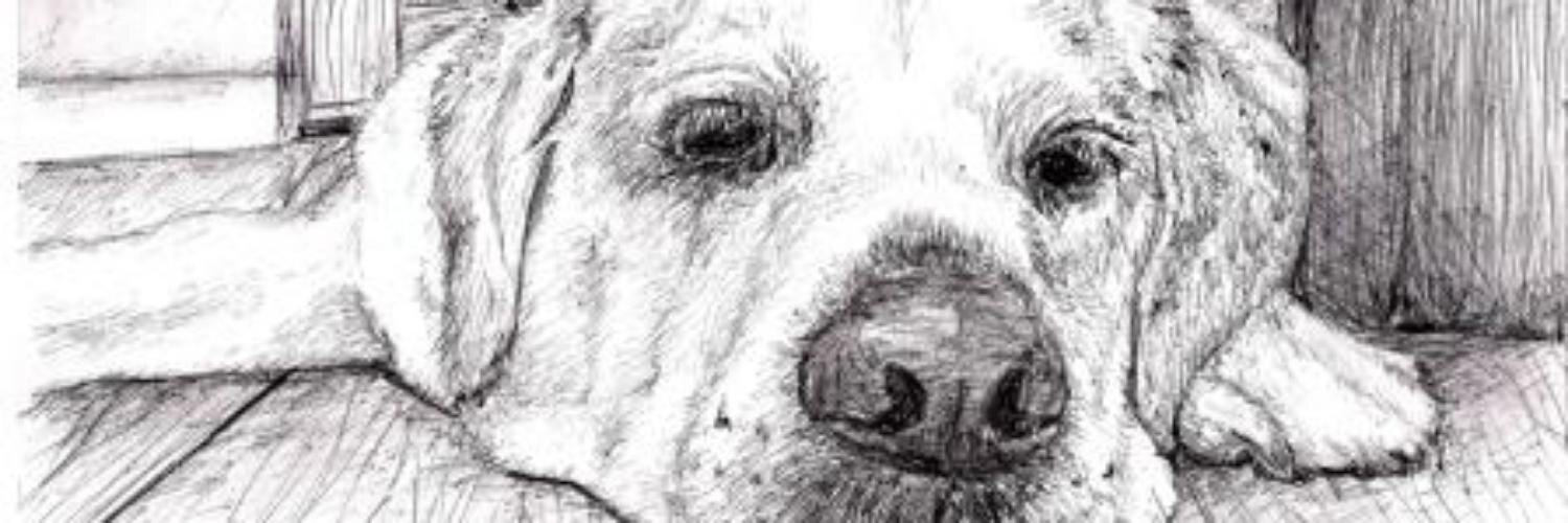 Bamboo_Bandit's profile banner image
