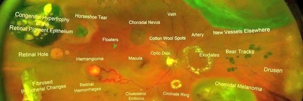 EyeMkabir Profile Banner