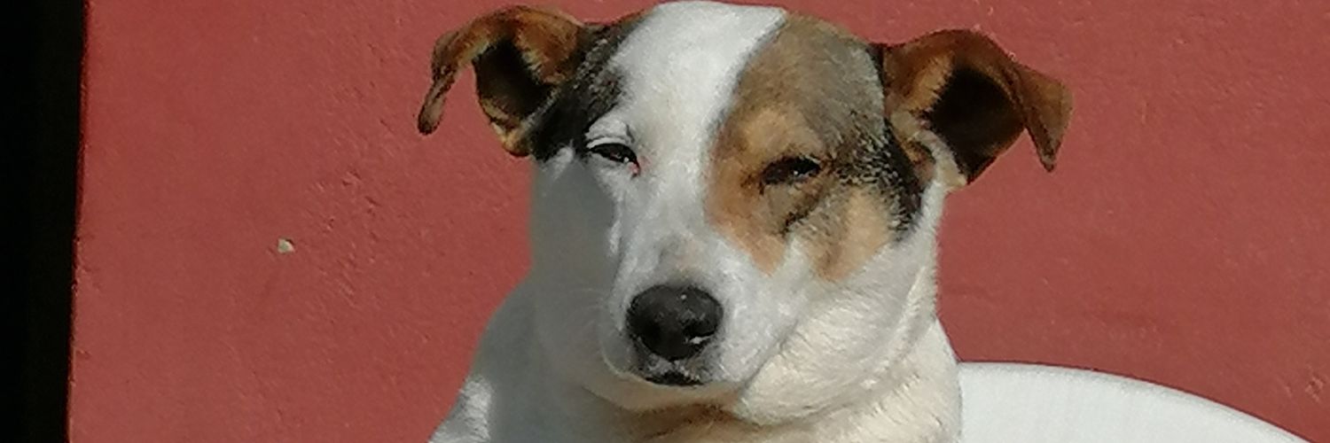 Yeansote's profile banner image
