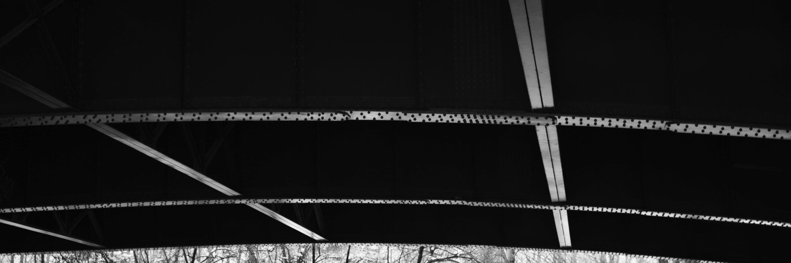 MartenPal's profile banner image