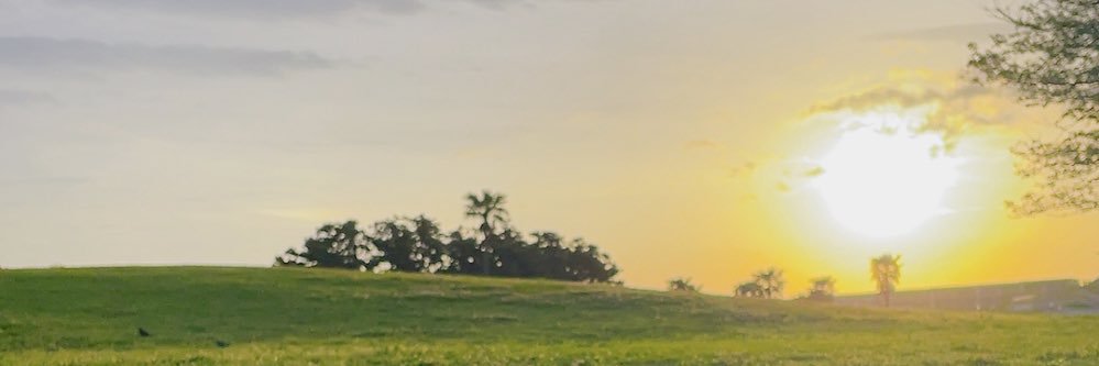 akoakoakoda's profile banner image