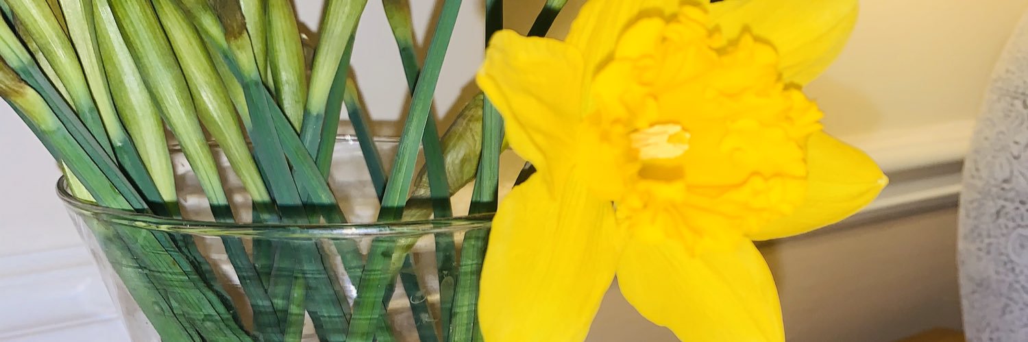 SarWhyand's profile banner image