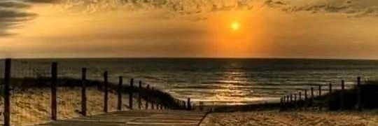 Mr Bubbles ala Brucey Baby banner