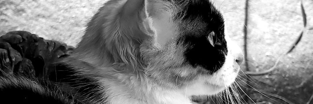 endingwdytm's profile banner image