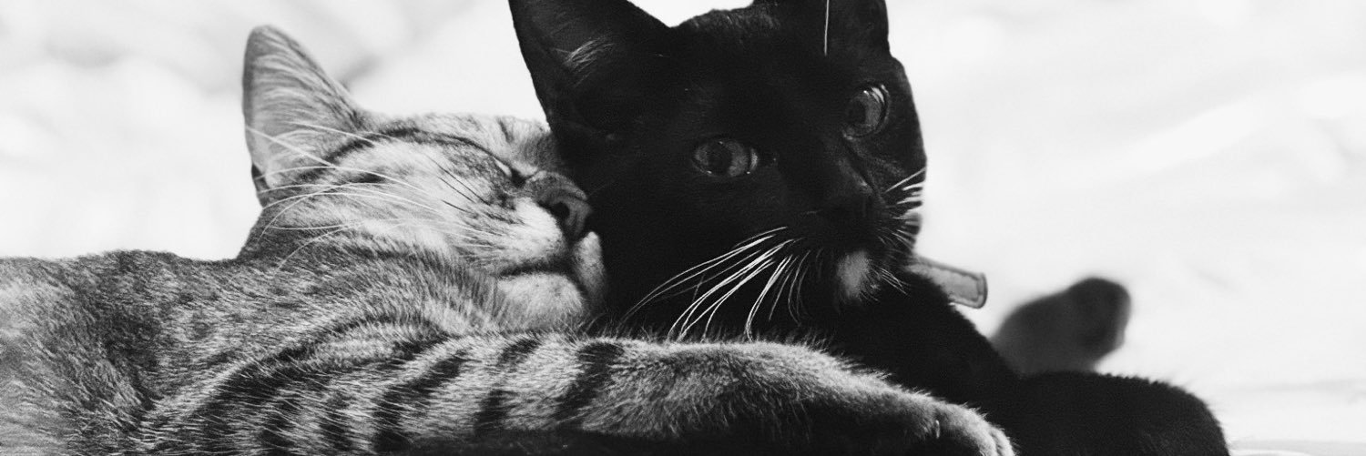 fernandartx's profile banner image