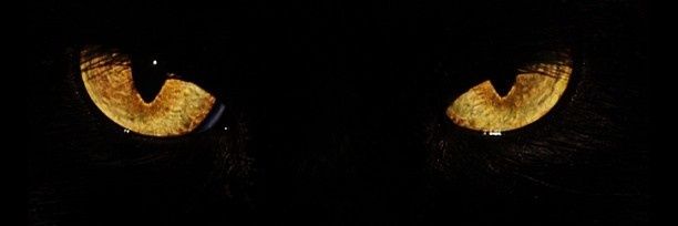 Dark Mel 🖤✨ banner