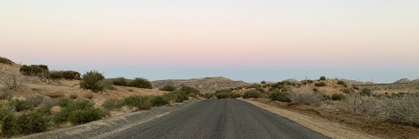 LisaBritton Profile Banner