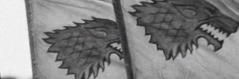 dsboli's profile banner image