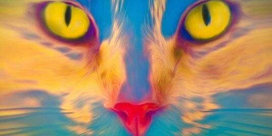 Marienconene's profile banner image