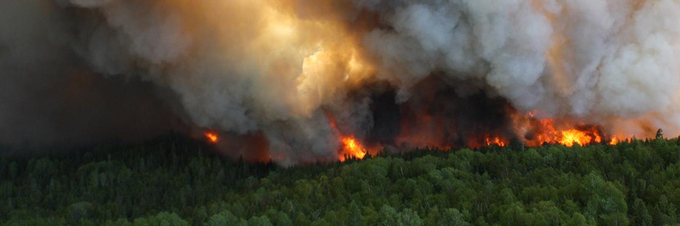 wildlandfirecan's profile banner image