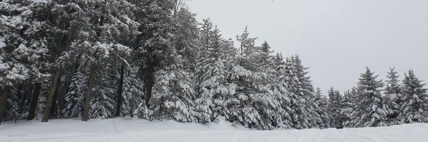 kappadiversa Profile Banner