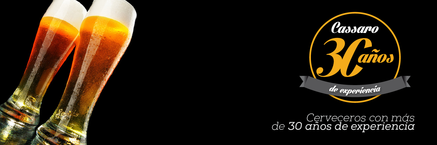 CHOPPCASSARO's profile banner image