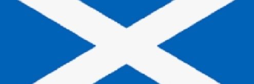 hibeetillidie banner