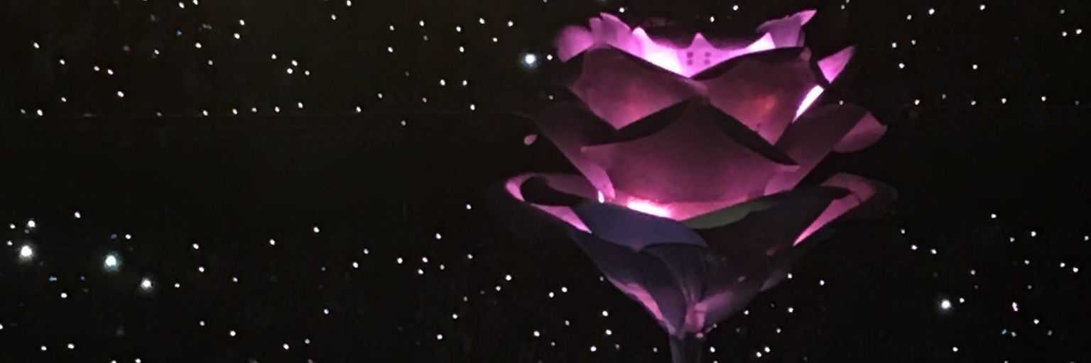 Conny_R5's profile banner image
