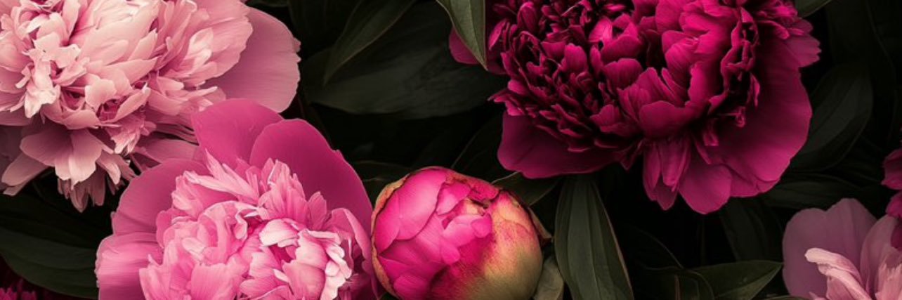 queenallirae's profile banner image