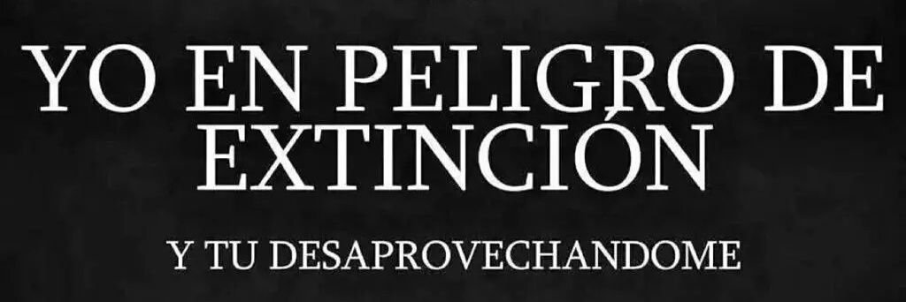 estelabase77's profile banner image