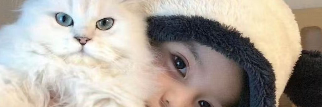 suki0528's profile banner image
