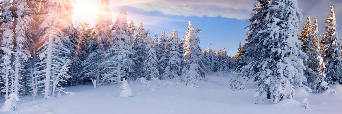 Prissy_80sRock banner