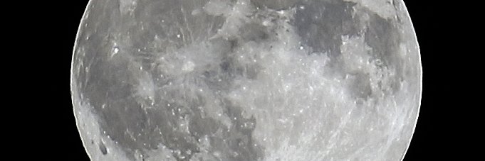 nomuratarobee's profile banner image