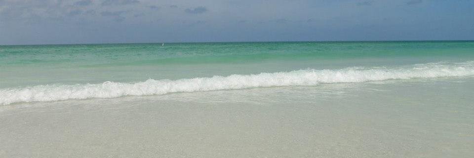 GidgetSwims's profile banner image