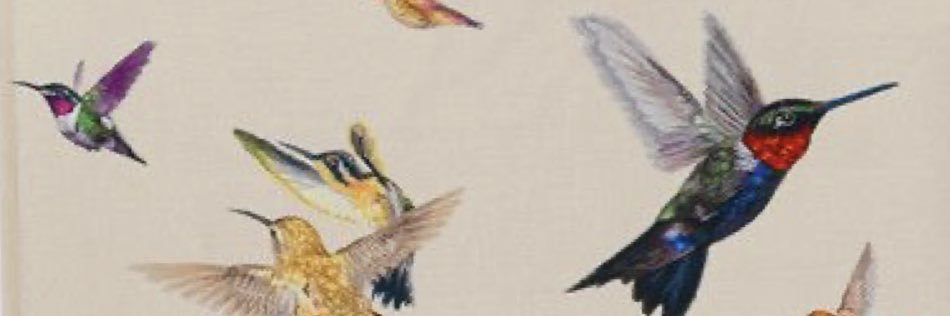 herendira21's profile banner image